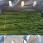4ae6bf9e 03a4 4ecd bc1a 0147061a5e6f