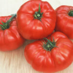 tomato beef steak