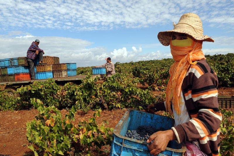 femme agriculture