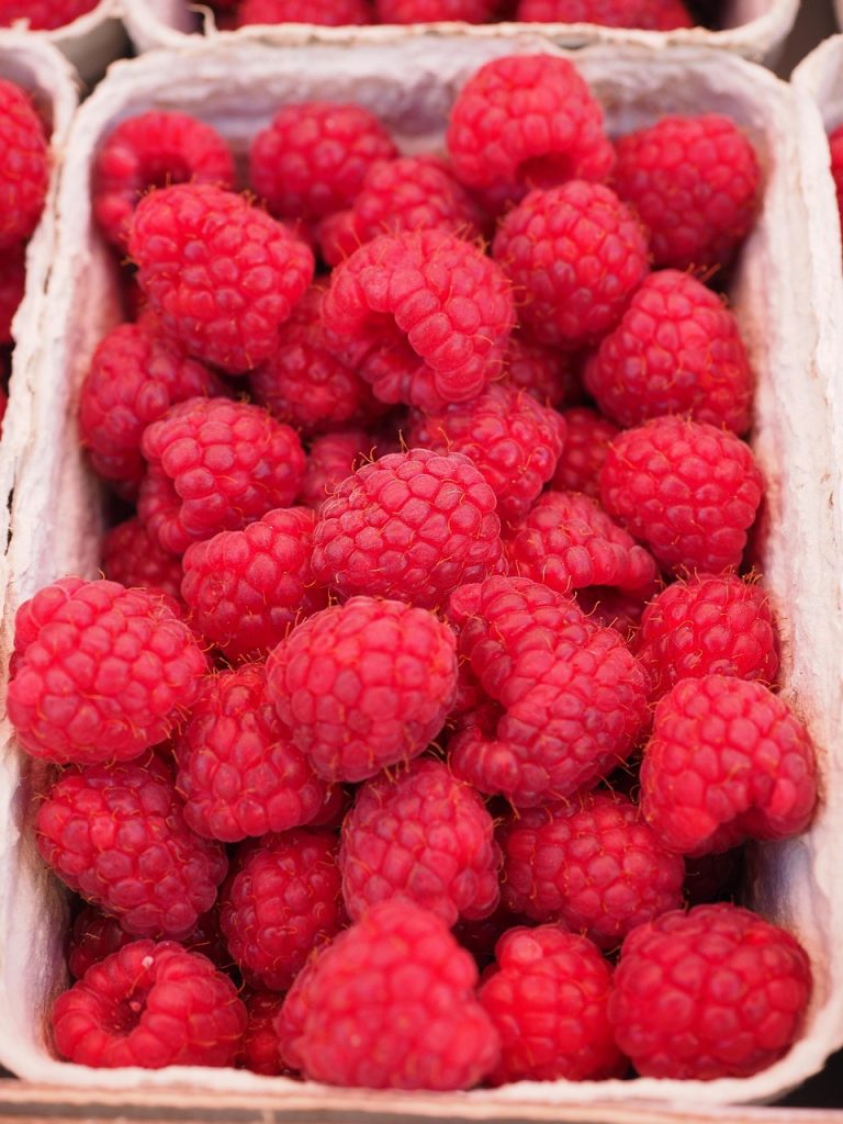 raspberries, berries, fruits, harvest, produce, organic, fresh, fresh fruits, fresh berries, fresh raspberries, red berries, vitamins, delicious, healthy, rubus idaeus, nutritious, raspberries, raspberries, raspberries, raspberries, raspberries, berries, berries, fruits, fruits, produce