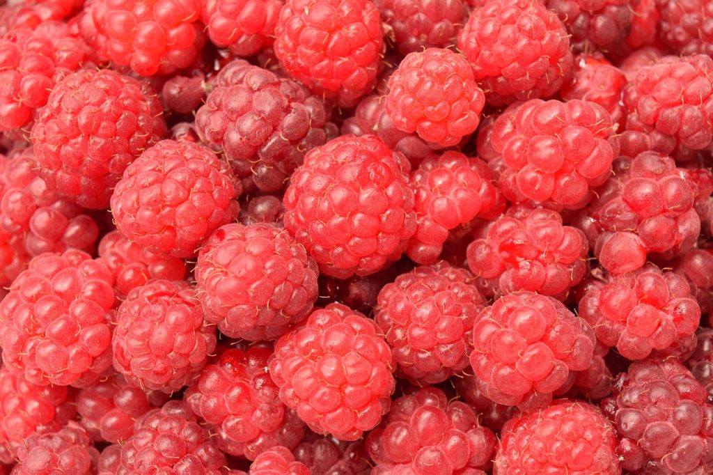 raspberries, red, fruit, fresh, ripe, fresh raspberries, berry, fresh berries, ripe berries, ripe raspberries, products, harvest, bio, fresh fruit, food background, cute, yummy, healthy, raspberries, raspberries, raspberries, raspberries, raspberries, berry, products, food background