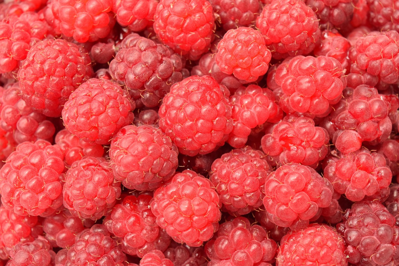 raspberries, red, fruit, fresh, ripe, fresh raspberries, berry, fresh berries, ripe berries, ripe raspberries, products, harvest, bio, fresh fruit, food background, cute, yummy, healthy, raspberries, raspberries, raspberries, raspberries, raspberries, berry, products, food background